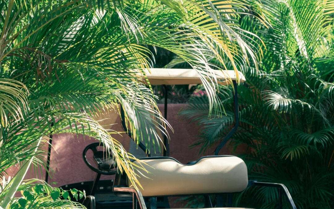 Exploring Green Transportation: The Rising Trend of Golf Cart Rental for Urban Commuting in Delray Beach, Florida