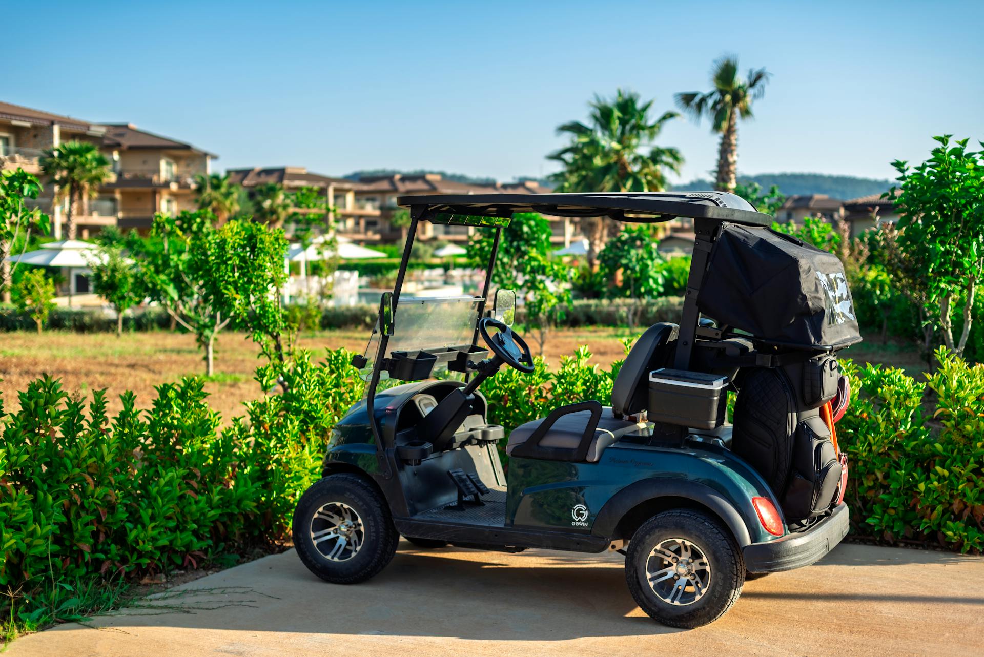 Driving the Future: Exploring the Role of Golf Cart Rentals in Sustainable Urban Mobility Trends