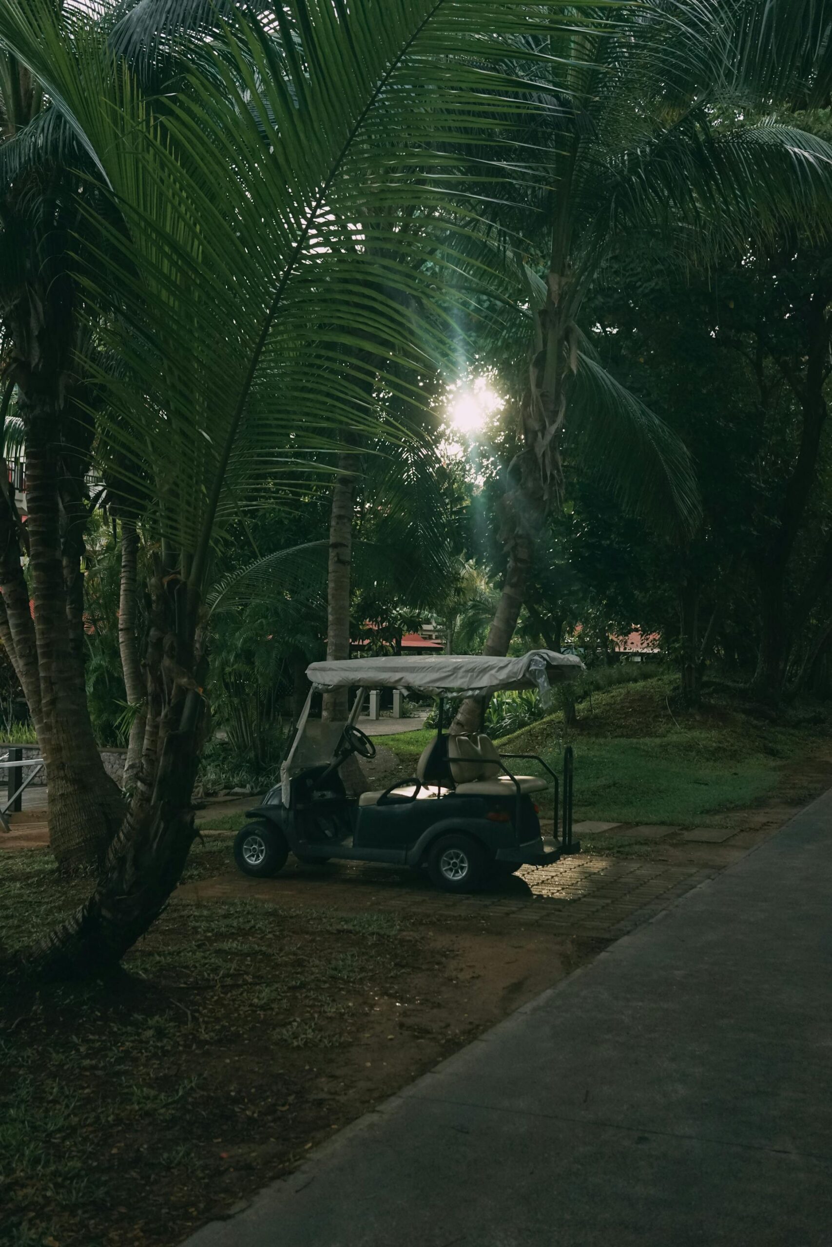 Green and Convenient: The Environmental and Logistic Advantages of Choosing Golf Cart Rentals for Your Wedding Day in Delray Beach, Florida