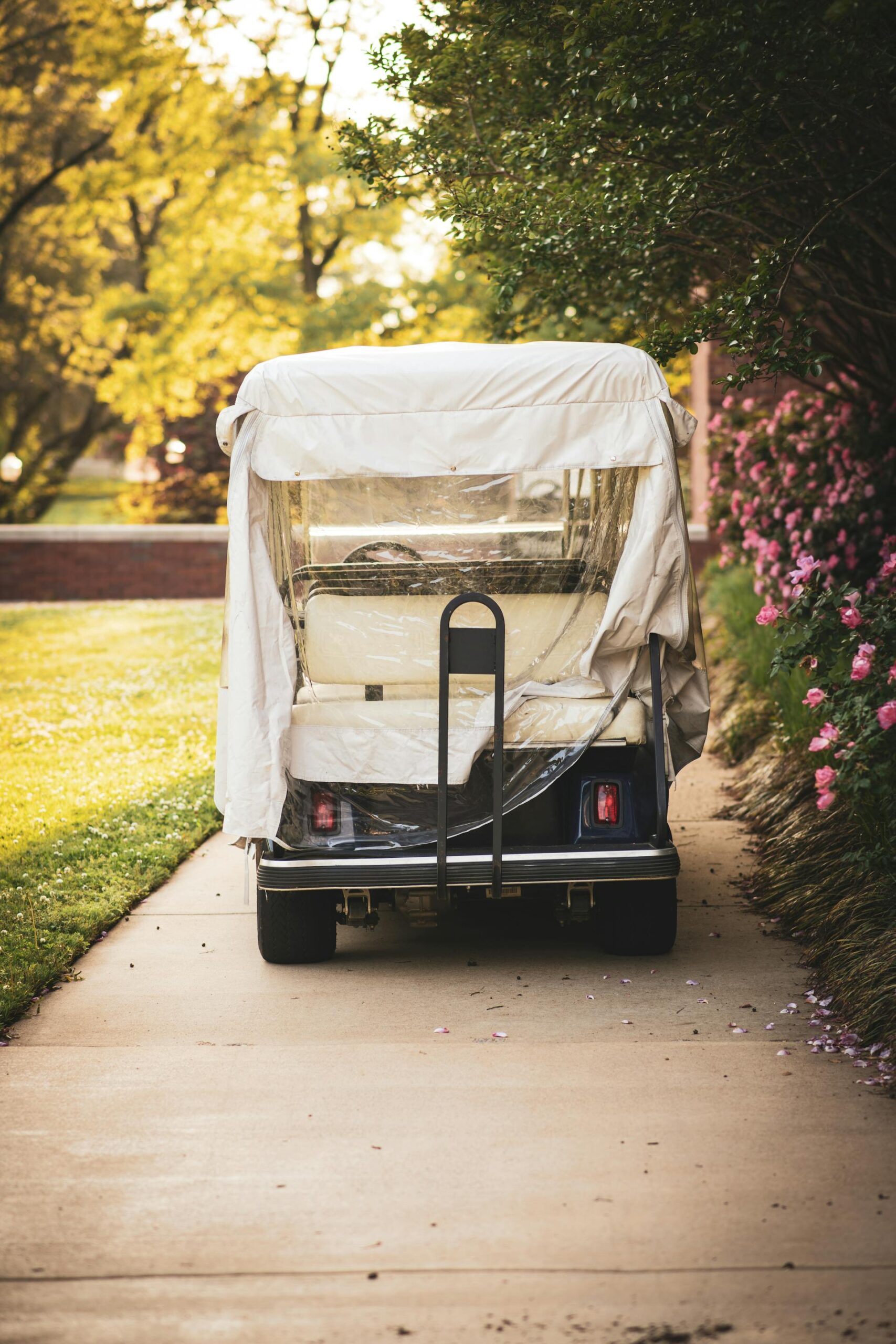 The Unexpected Financial and Environmental Advantages of Renting a Golf Cart