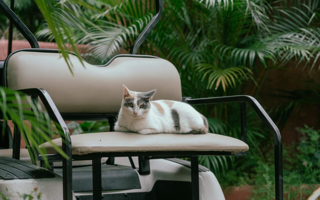 Unveiling the Environmental and Health Benefits of Golf Cart Rentals for Modern Travelers