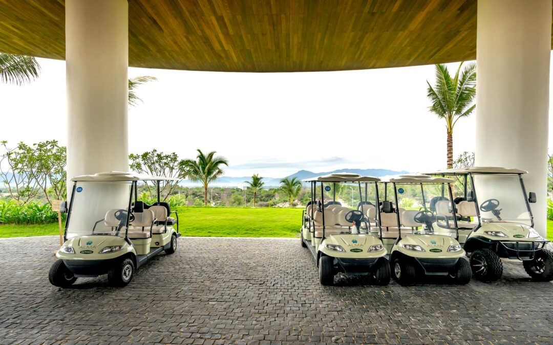 The Surprising Role of Golf Cart Rentals in Promoting Accessible Tourism for Seniors and Individuals with Disabilities