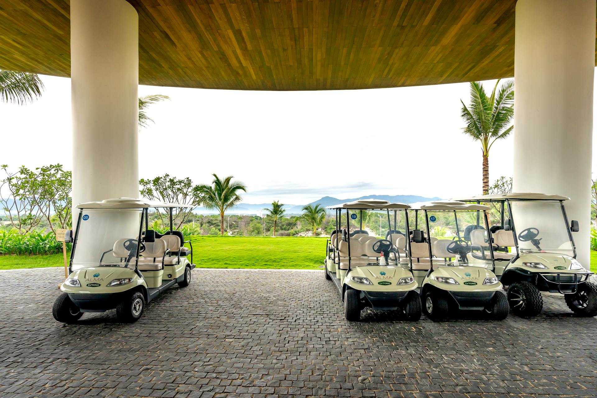 The Surprising Role of Golf Cart Rentals in Promoting Accessible Tourism for Seniors and Individuals with Disabilities