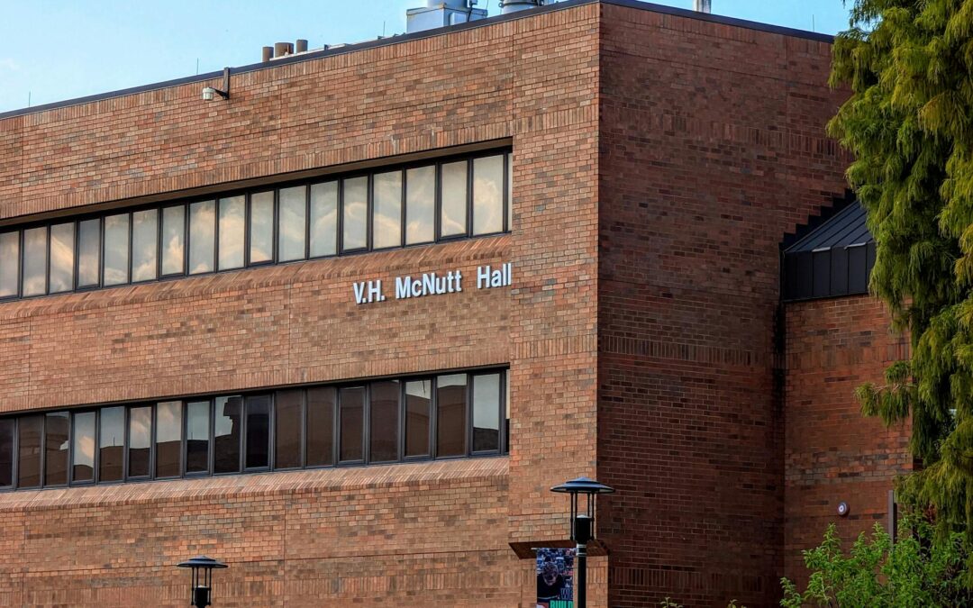 Uncovering the Unexpected Economic Impact of Golf Cart Rentals in Small Tourist Towns