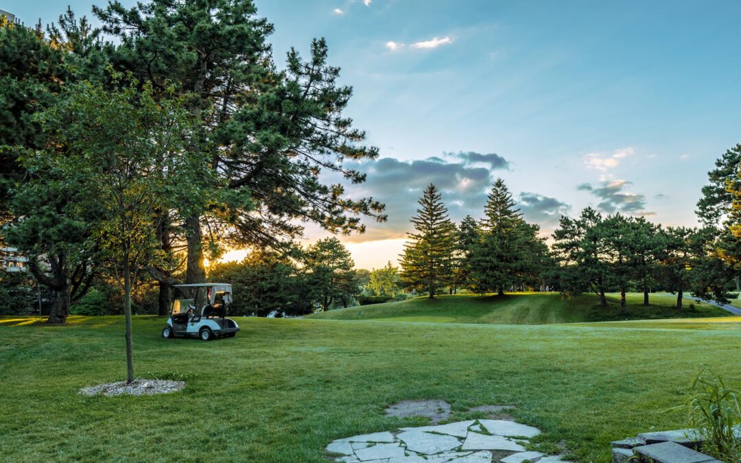 Maximizing Sustainability in Transportation with the Rising Popularity of Golf Cart Rentals in Urban Areas
