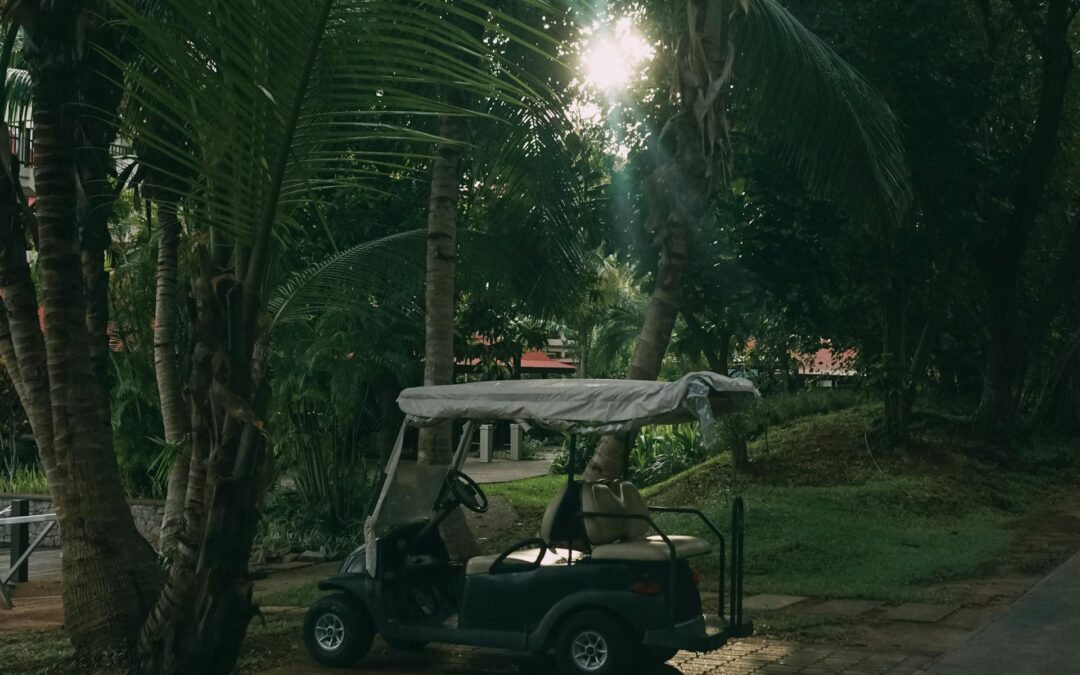 The Role of Golf Cart Rentals in Enhancing Sightseeing Experiences in Delray Beach, Florida
