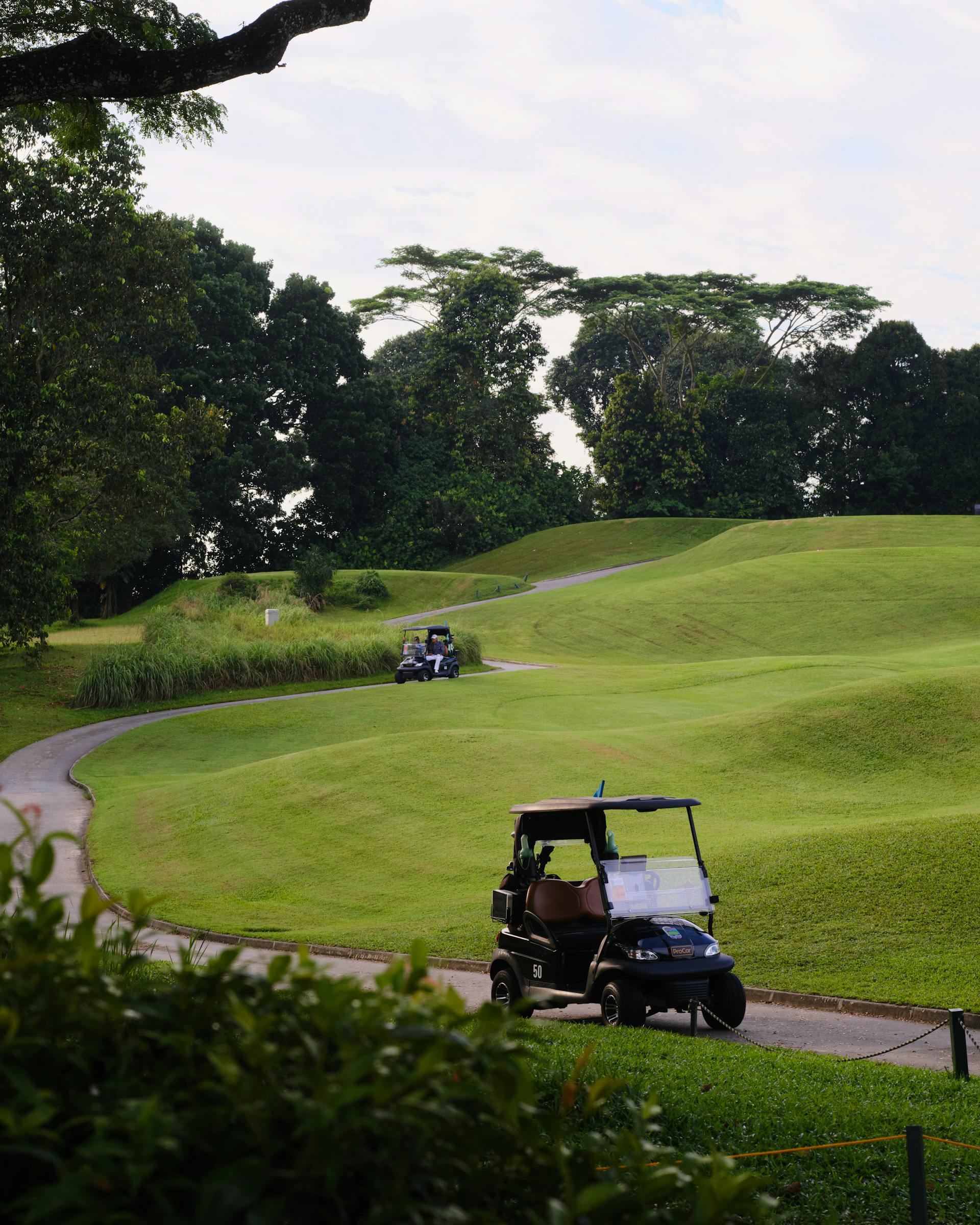 Exploring the Role of Golf Cart Rentals in Promoting Sustainable Tourism in Delray Beach, Florida