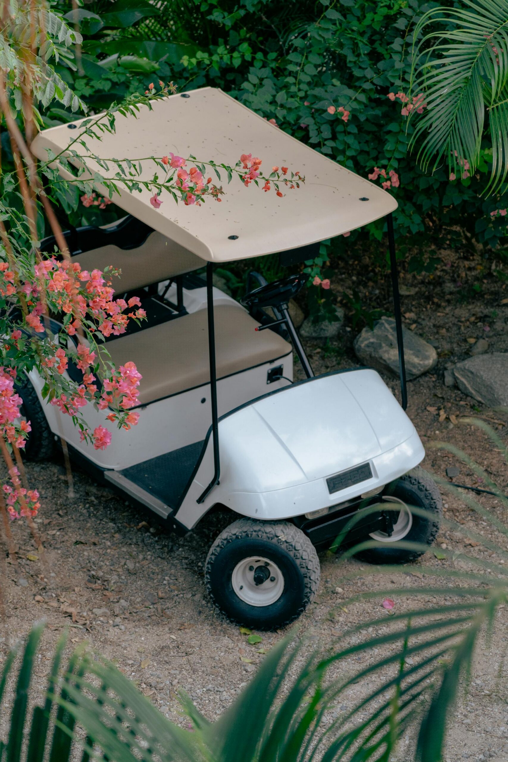 Top Routes for Your Golf Cart Rental Adventure in Delray Beach