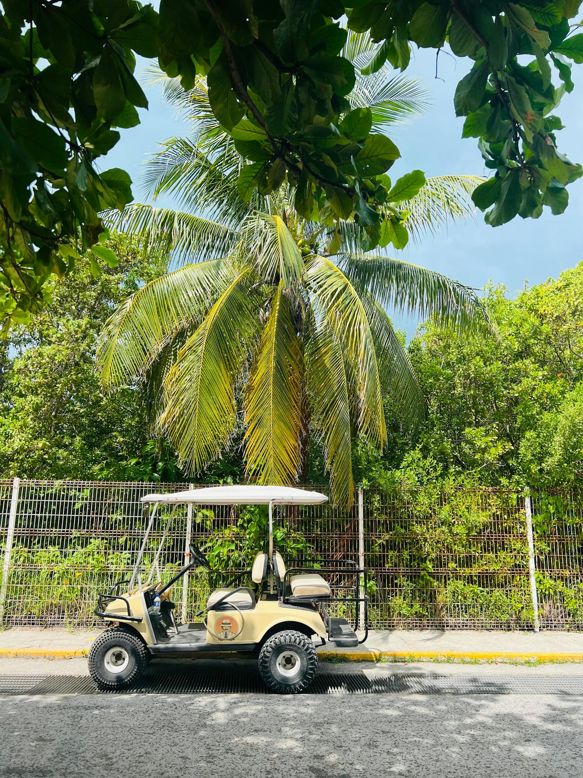 Unique Adventures to Enjoy with Your Golf Cart Rental in Delray Beach, Florida