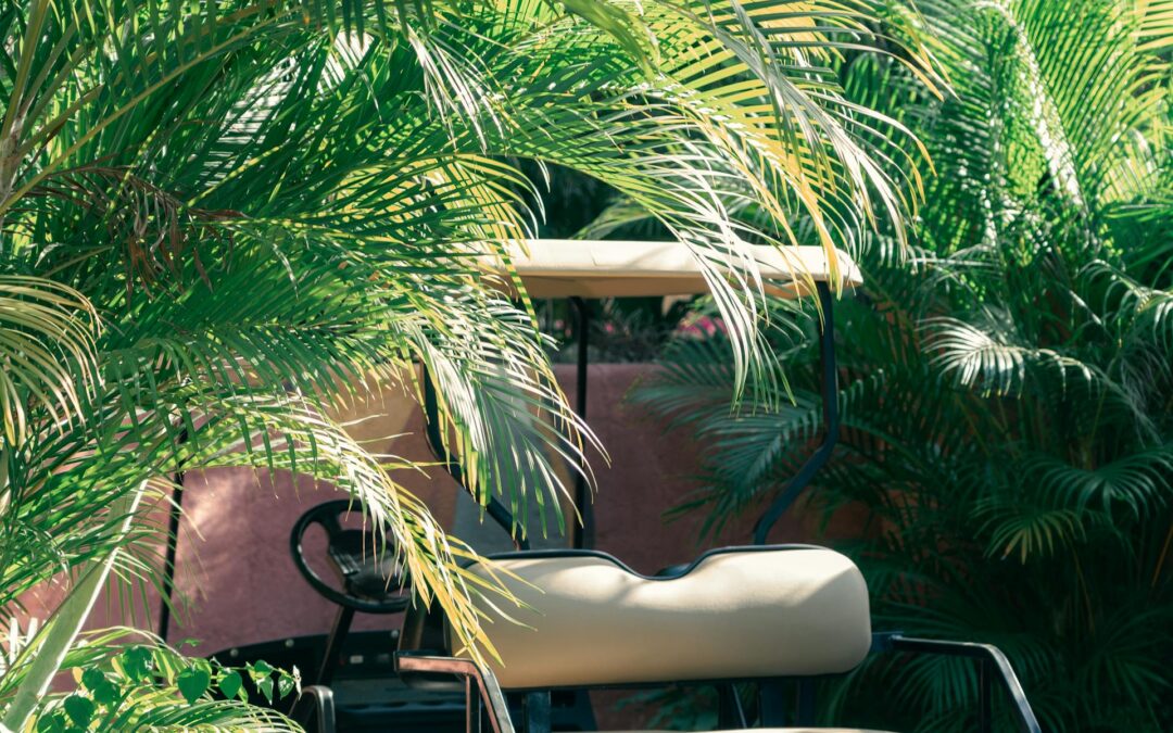 Unveiling the Unexpected Health Benefits of Opting for Golf Cart Rentals