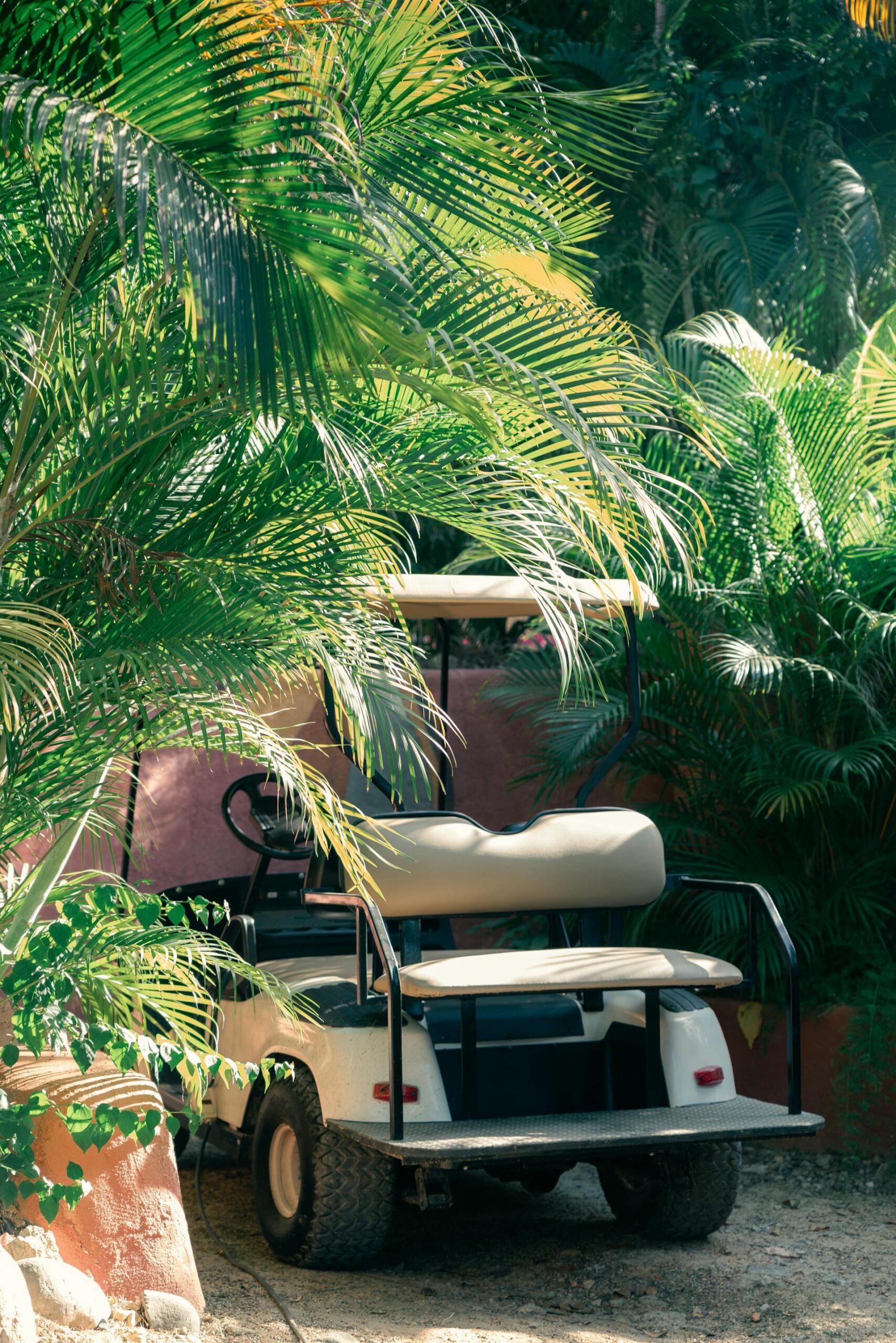 Unveiling the Unexpected Health Benefits of Opting for Golf Cart Rentals